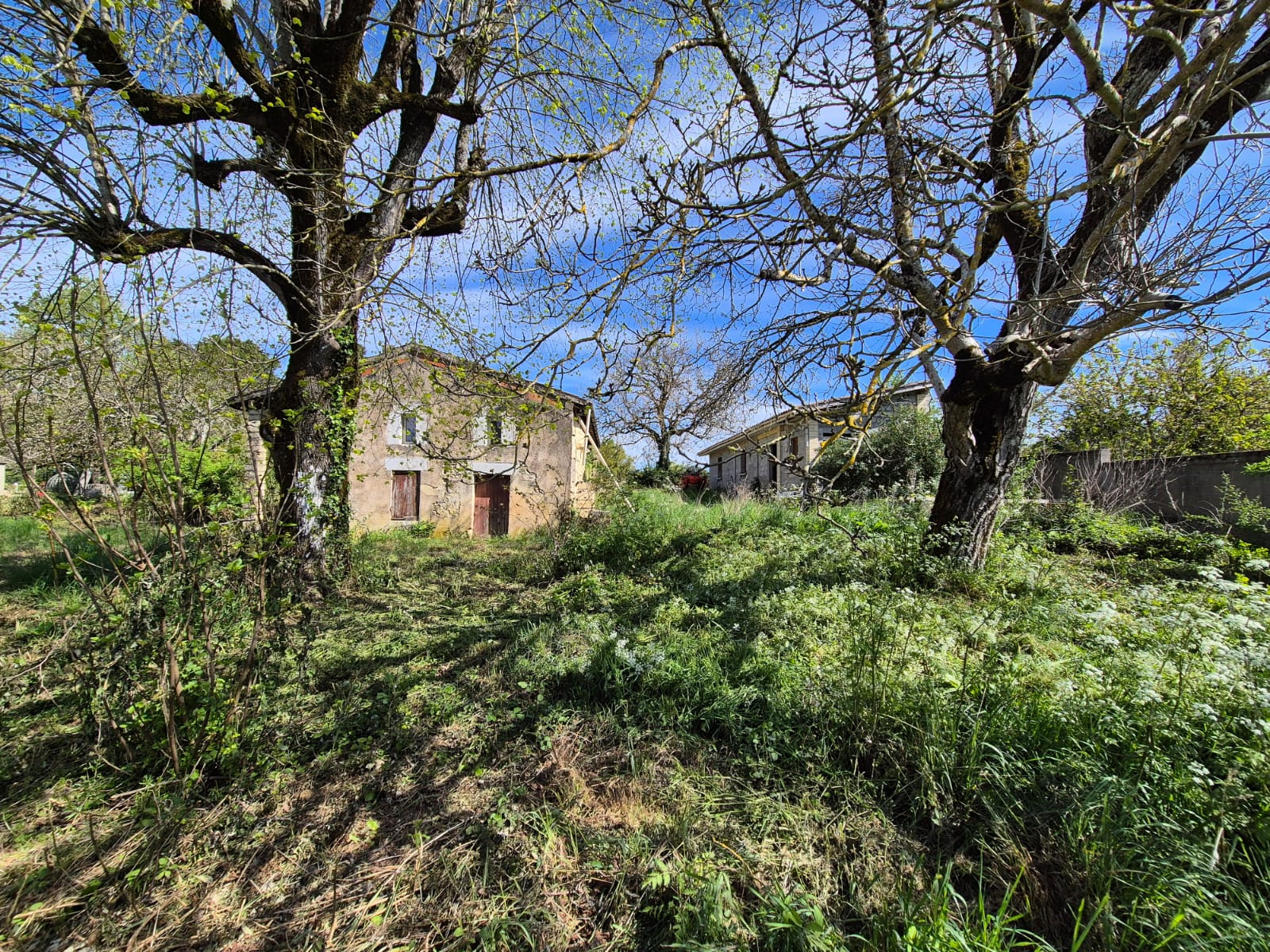 Agence immobilière de Immobilier des Bastides